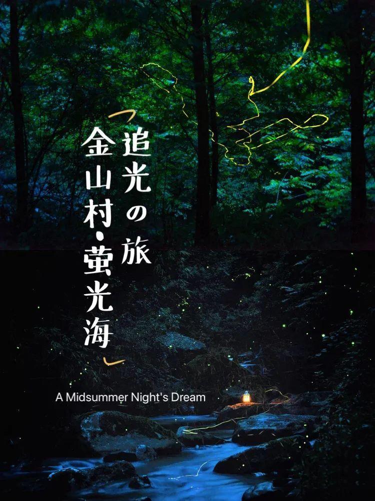 逃离声望森林